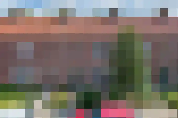 Laagzijde 30 Marknesse thumbnail 38