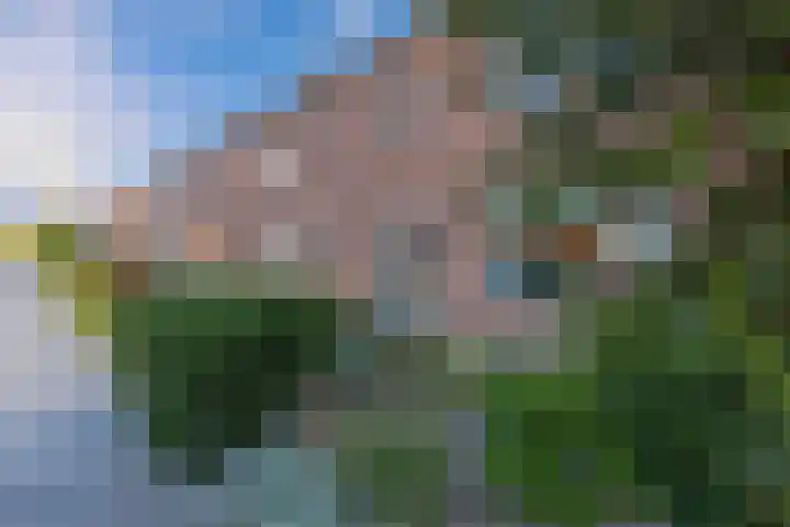 Laagzijde 30 Marknesse thumbnail 39