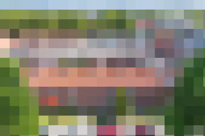 Laagzijde 30 Marknesse thumbnail 40