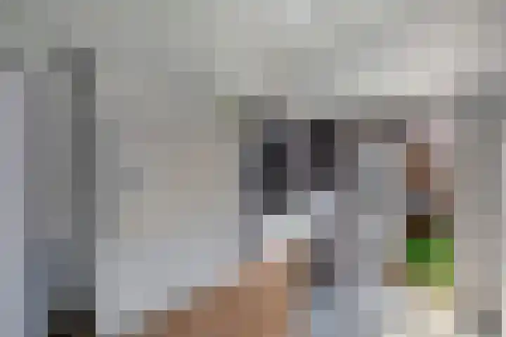 Laagzijde 33 Marknesse thumbnail 20