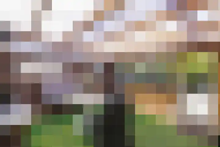 Laagzijde 33 Marknesse thumbnail 21