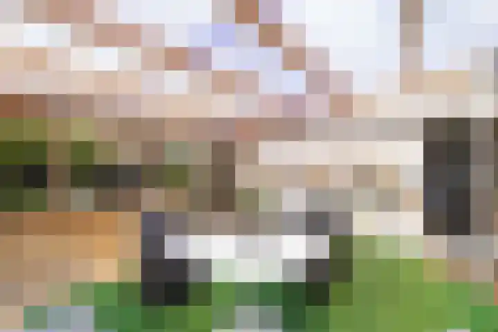 Laagzijde 33 Marknesse thumbnail 22