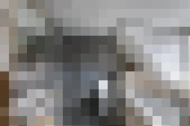 Laagzijde 33 Marknesse thumbnail 30