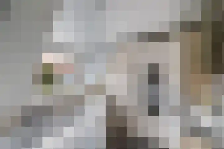 Laagzijde 33 Marknesse thumbnail 31
