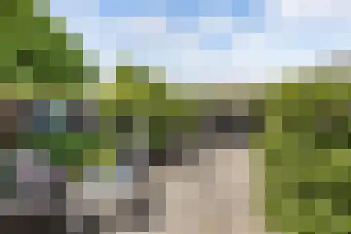 Laagzijde 33 Marknesse thumbnail 34