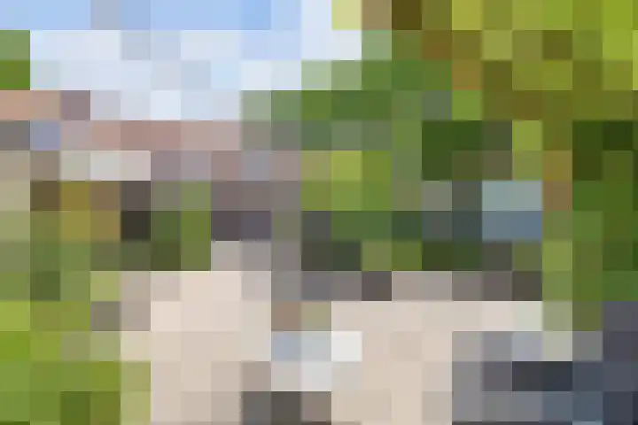 Laagzijde 33 Marknesse thumbnail 37