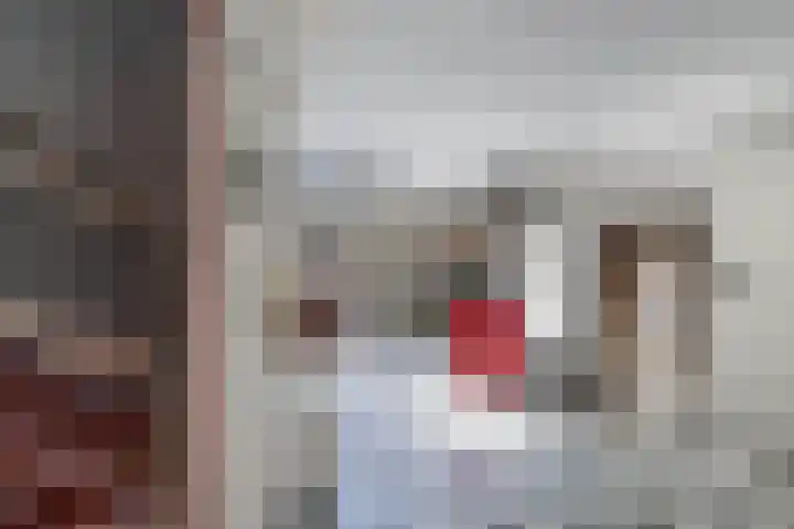 Laagzijde 33 Marknesse thumbnail 7