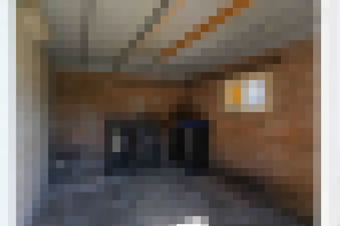 Laagzijde 38 Marknesse thumbnail 23