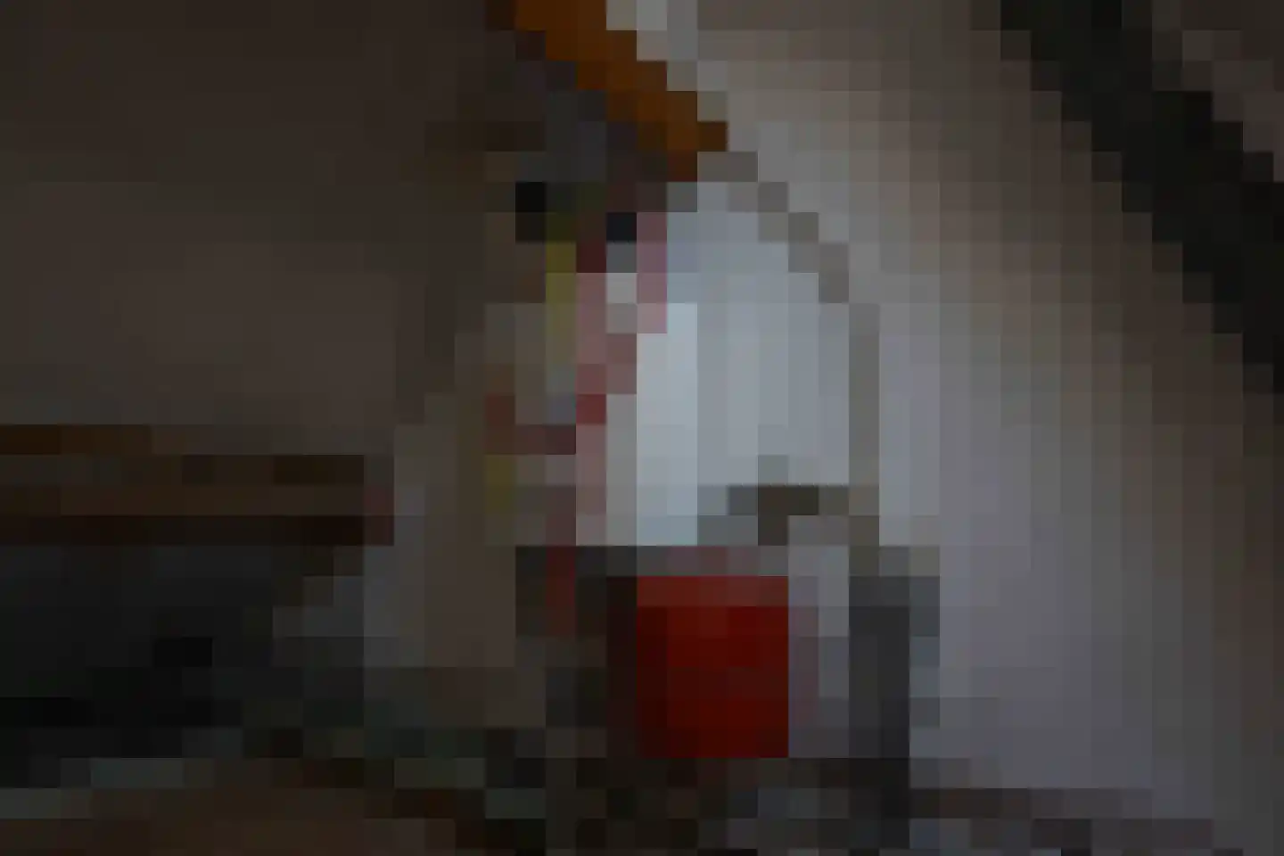 Laagzijde 38 Marknesse thumbnail 46