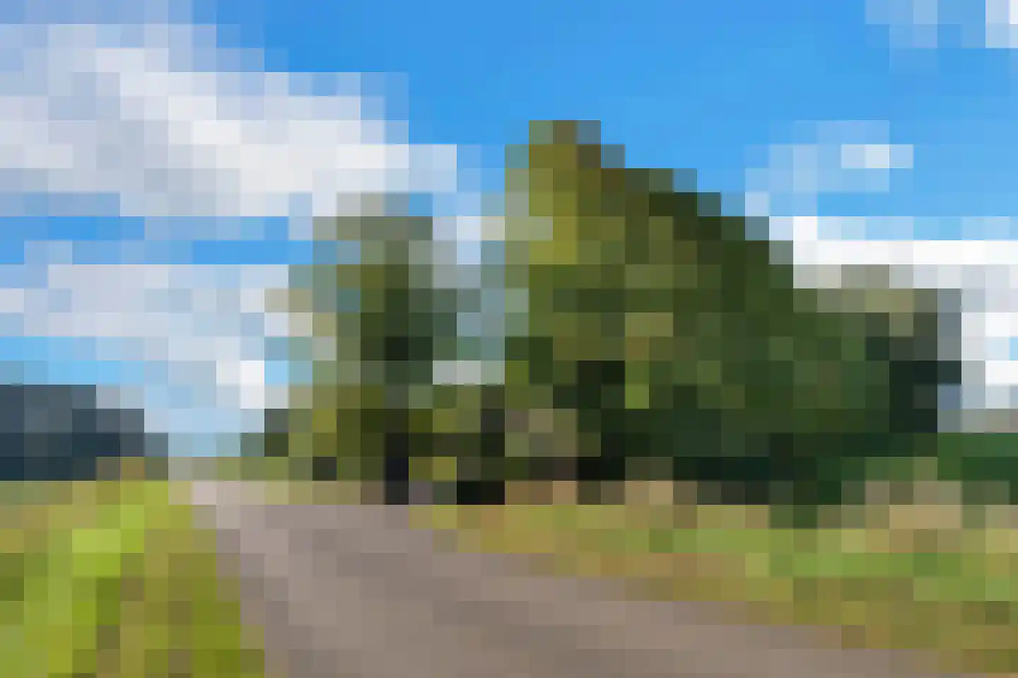 Laaijekreekseweg 2 Hellevoetsluis thumbnail 15