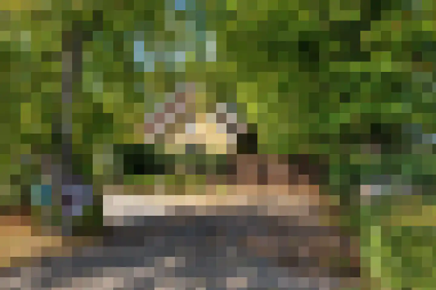 Laaijekreekseweg 2 Hellevoetsluis thumbnail 16
