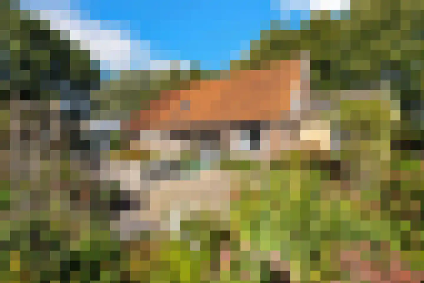 Laaijekreekseweg 2 Hellevoetsluis thumbnail 19