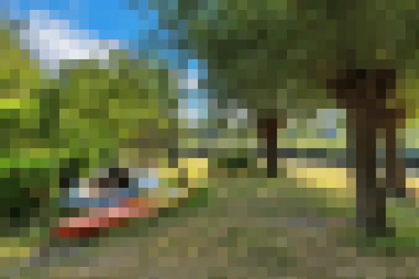 Laaijekreekseweg 2 Hellevoetsluis thumbnail 28