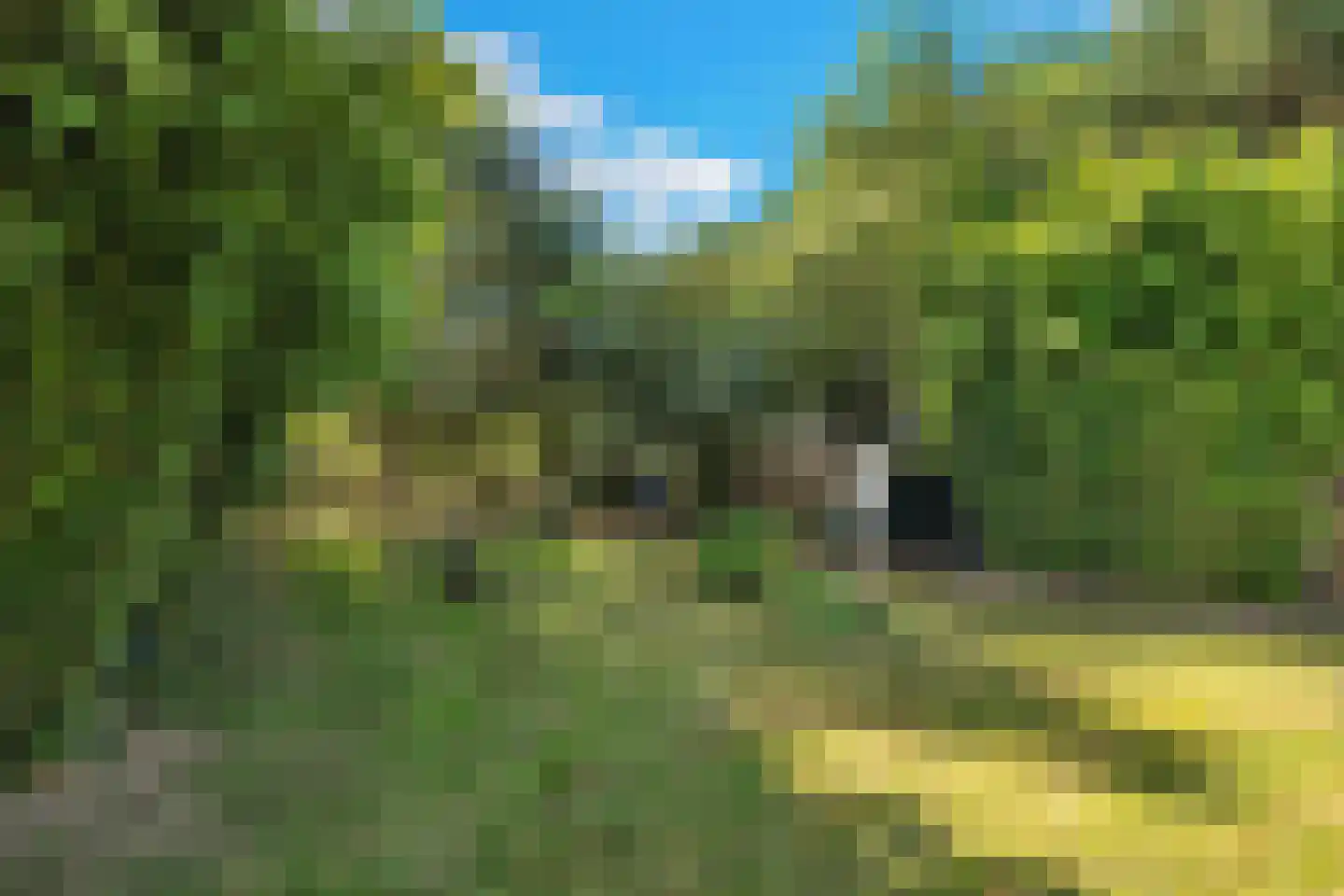Laaijekreekseweg 2 Hellevoetsluis thumbnail 34