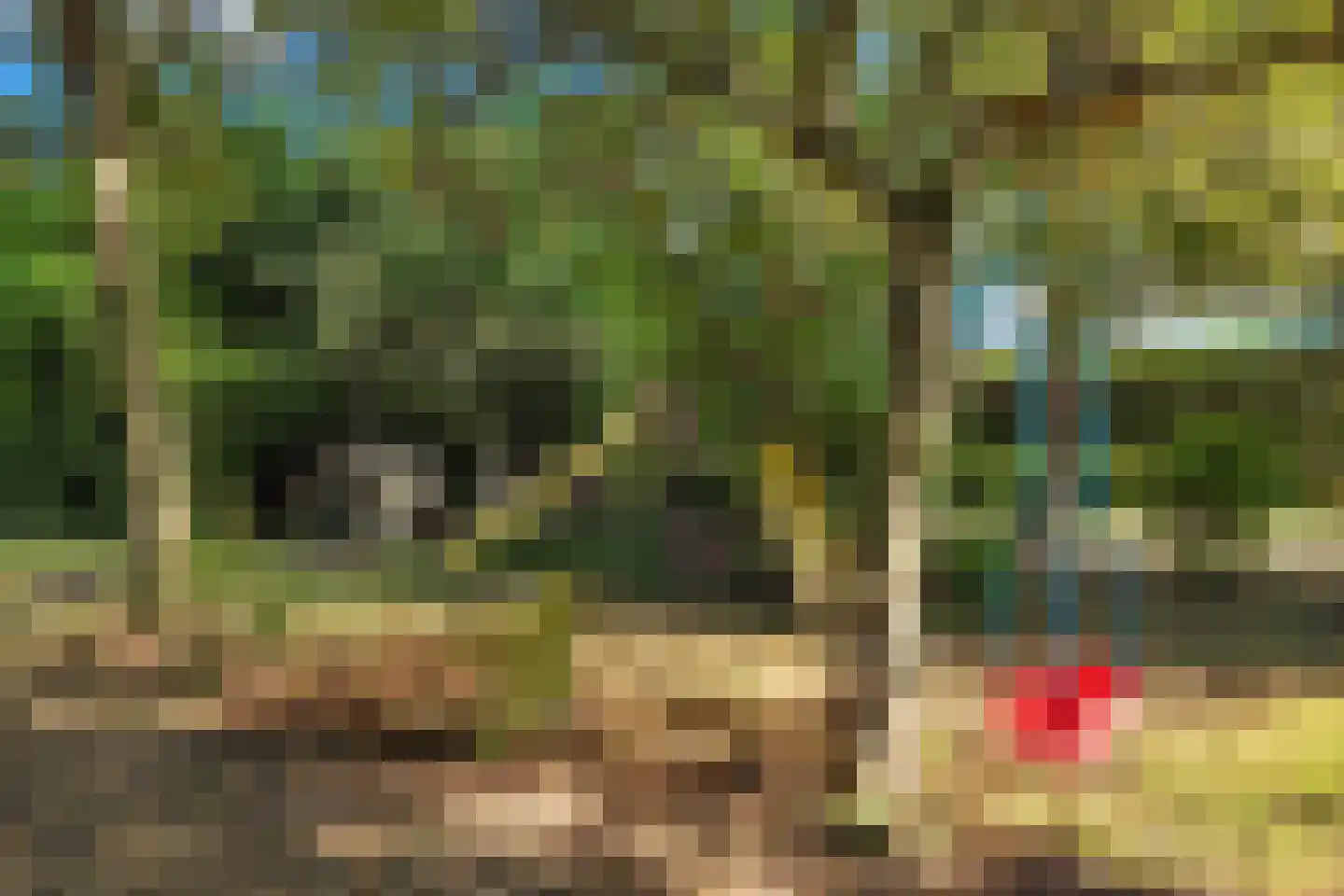 Laaijekreekseweg 2 Hellevoetsluis thumbnail 37