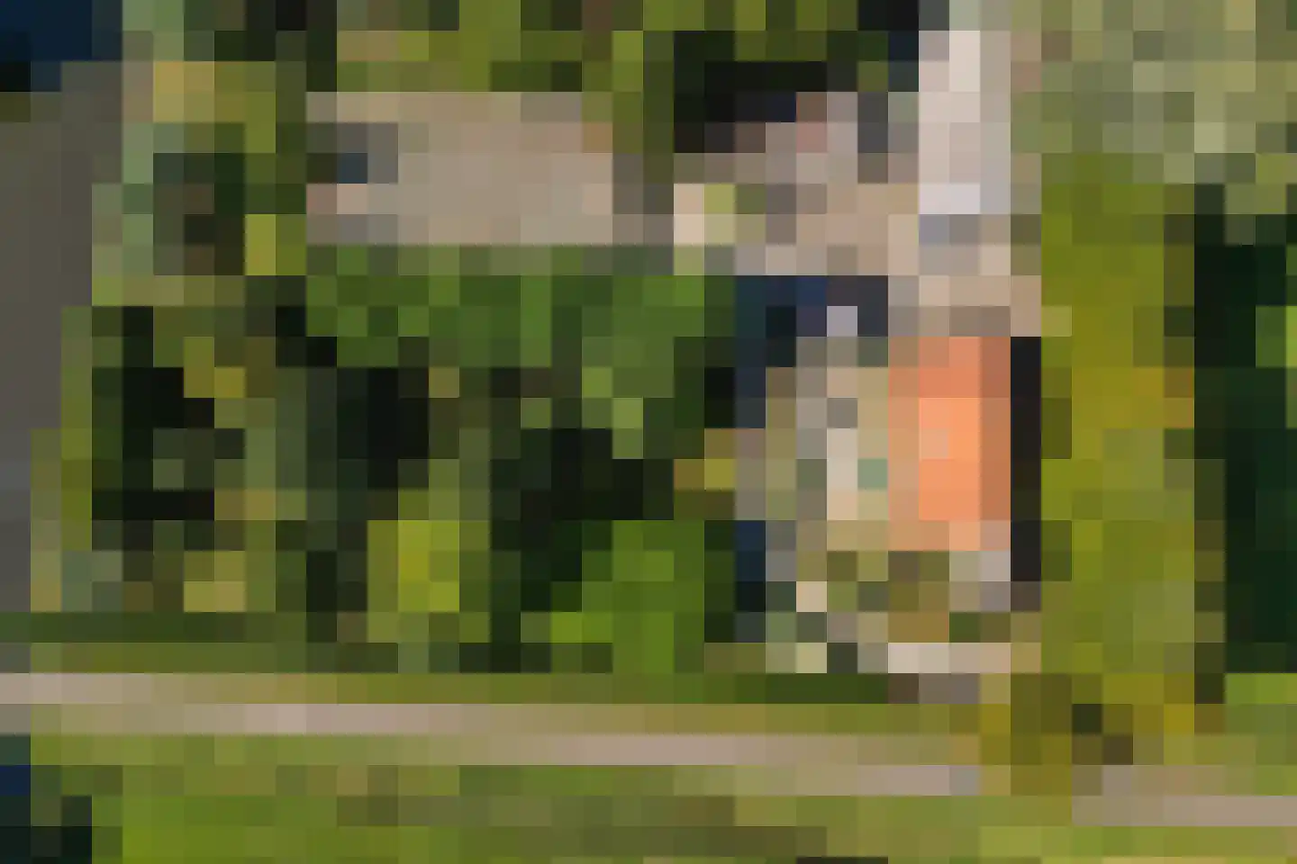 Laaijekreekseweg 2 Hellevoetsluis thumbnail 8