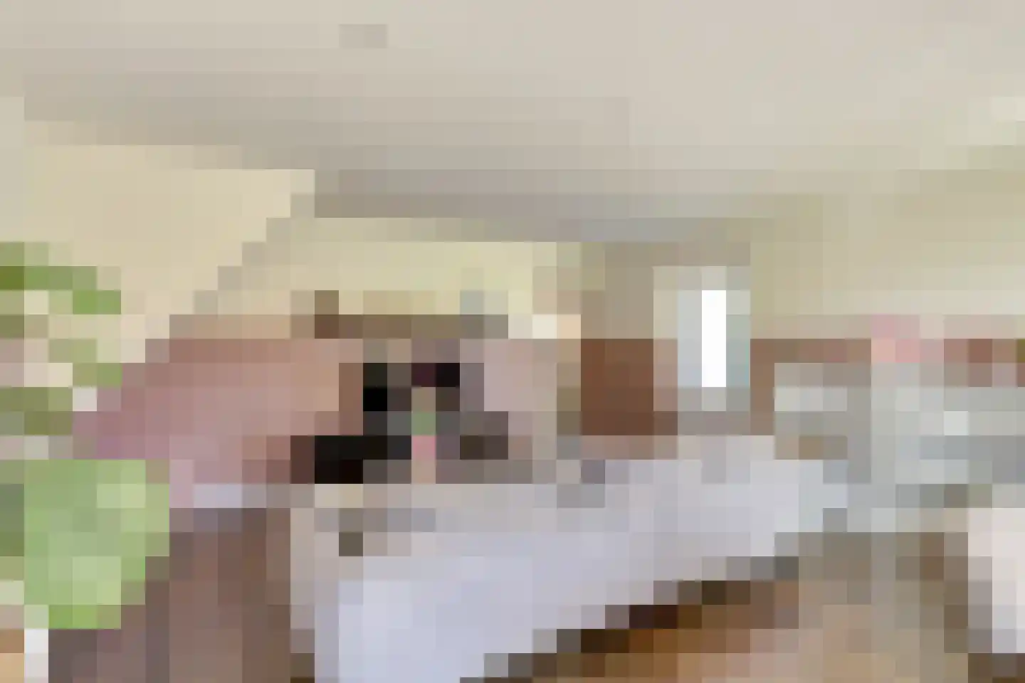 Laak 34 Almelo thumbnail 17