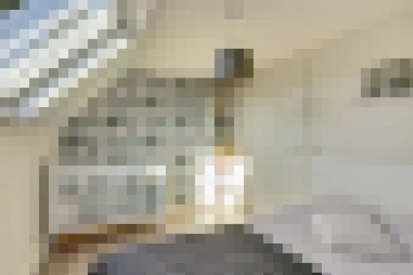 Laak 34 Almelo thumbnail 24
