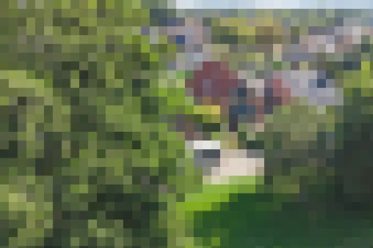 Laak 34 Almelo thumbnail 39