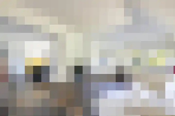 Laak 42 Almelo thumbnail 12