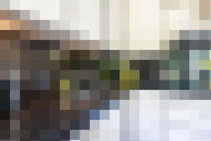 Laak 42 Almelo thumbnail 16