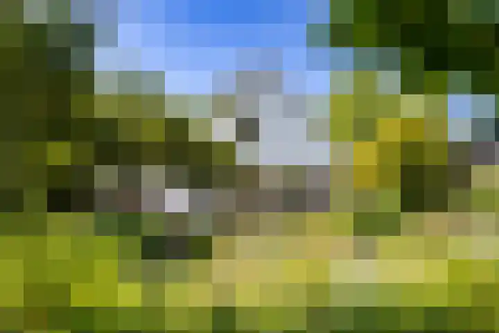 Laak 42 Almelo foto 2
