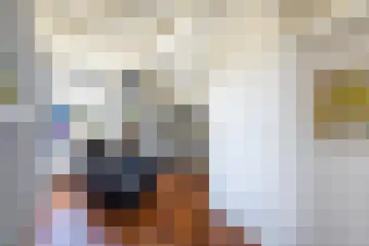 Laak 42 Almelo thumbnail 27