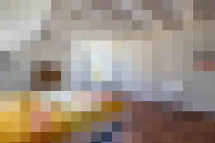 Laak 42 Almelo thumbnail 29