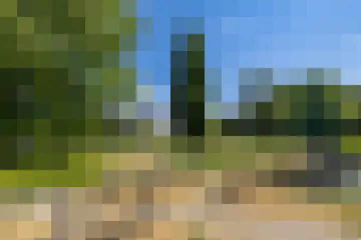 Laak 42 Almelo foto 3