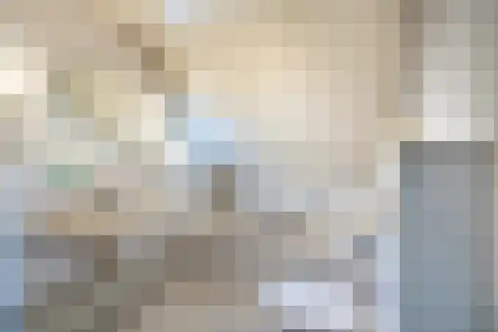 Laak 42 Almelo thumbnail 31