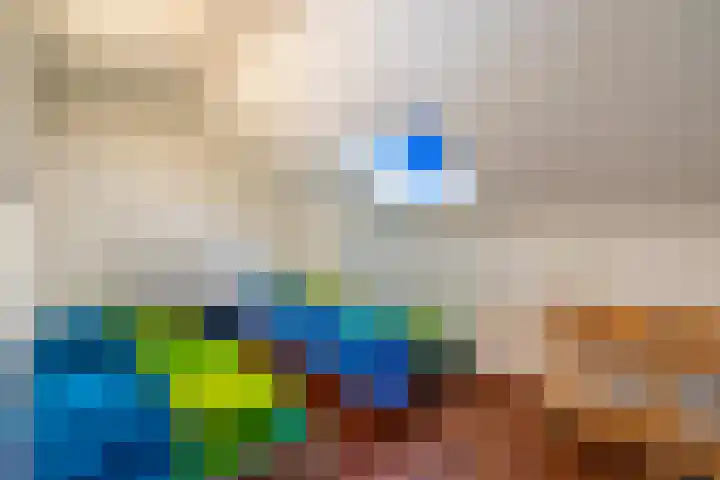 Laak 42 Almelo thumbnail 32