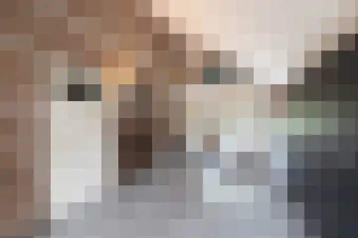 Laak 42 Almelo thumbnail 34