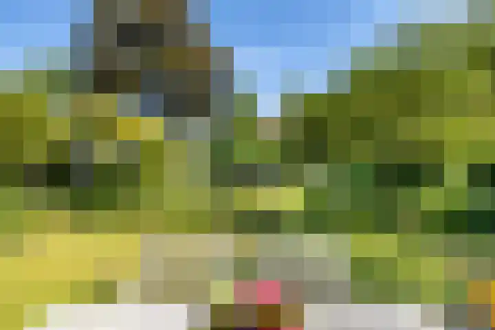 Laak 42 Almelo thumbnail 38