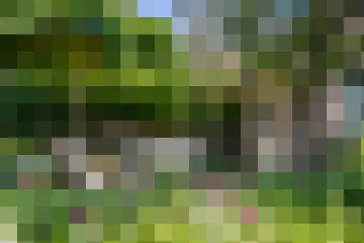 Laak 42 Almelo thumbnail 40