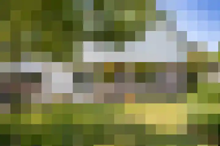 Laak 42 Almelo thumbnail 41