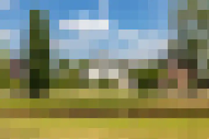 Laak 42 Almelo thumbnail 42
