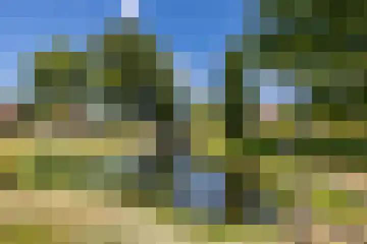 Laak 42 Almelo thumbnail 43