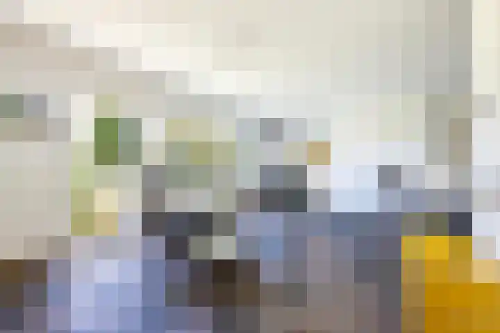 Laak 42 Almelo thumbnail 7