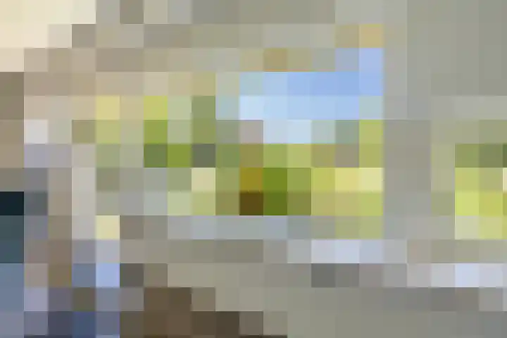 Laak 42 Almelo thumbnail 8