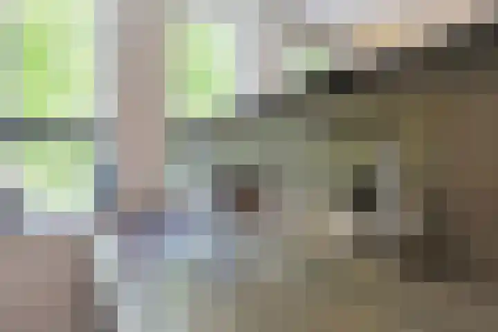 Laakboulevard 120 Amersfoort thumbnail 20