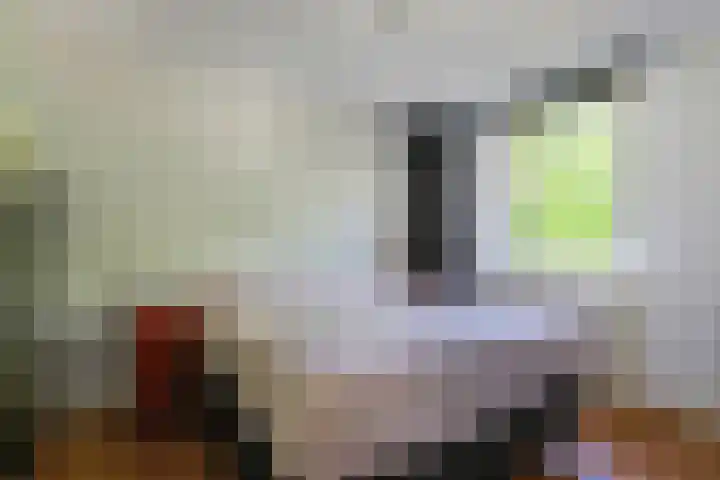 Laakboulevard 120 Amersfoort thumbnail 26
