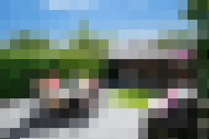 Laakboulevard 120 Amersfoort thumbnail 37