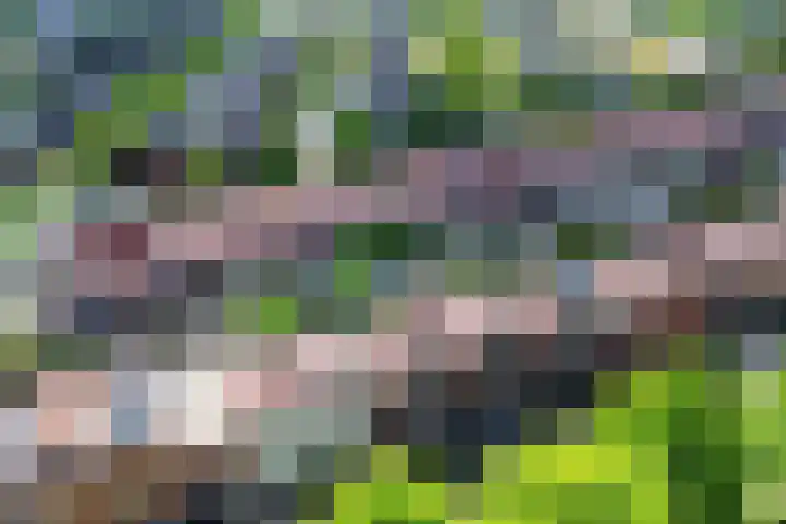 Laakboulevard 120 Amersfoort thumbnail 47