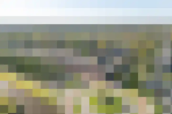 Laakboulevard 240 A Amersfoort thumbnail 43