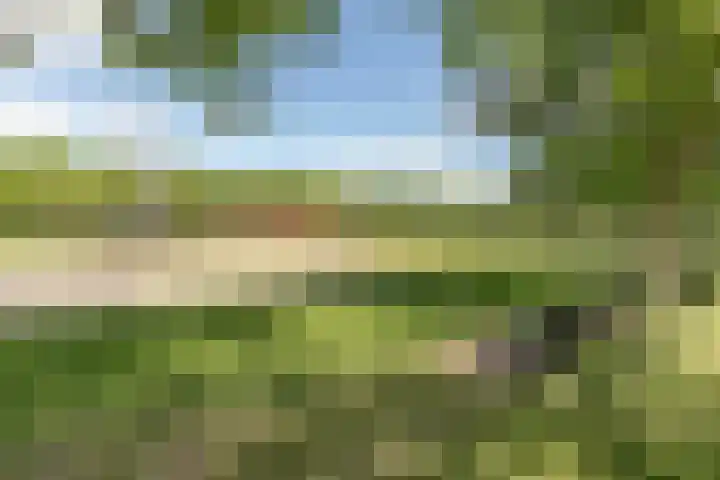 Laakboulevard 240 A Amersfoort thumbnail 44