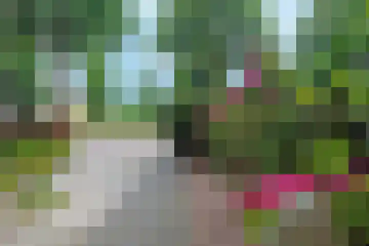 Laakboulevard 248 Amersfoort thumbnail 8