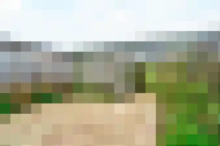 Laakboulevard 254 Amersfoort thumbnail 23