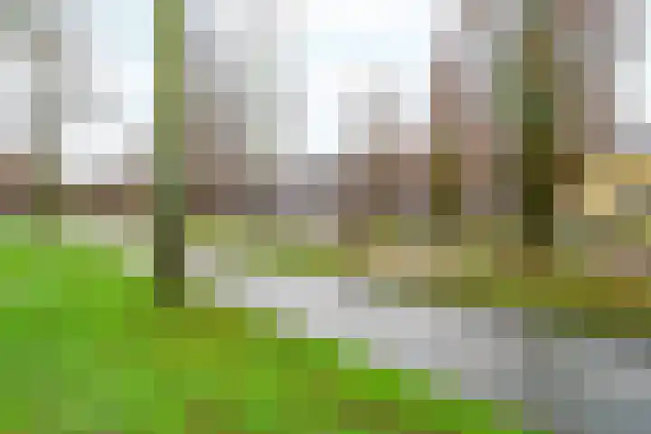 Laakboulevard 254 Amersfoort thumbnail 26