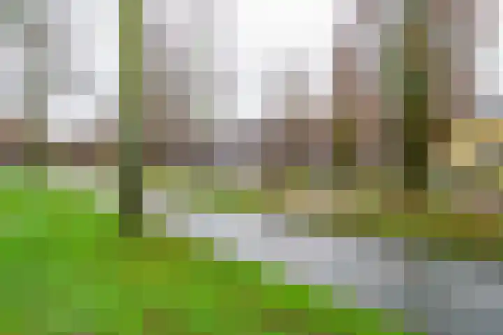 Laakboulevard 254 Amersfoort thumbnail 27