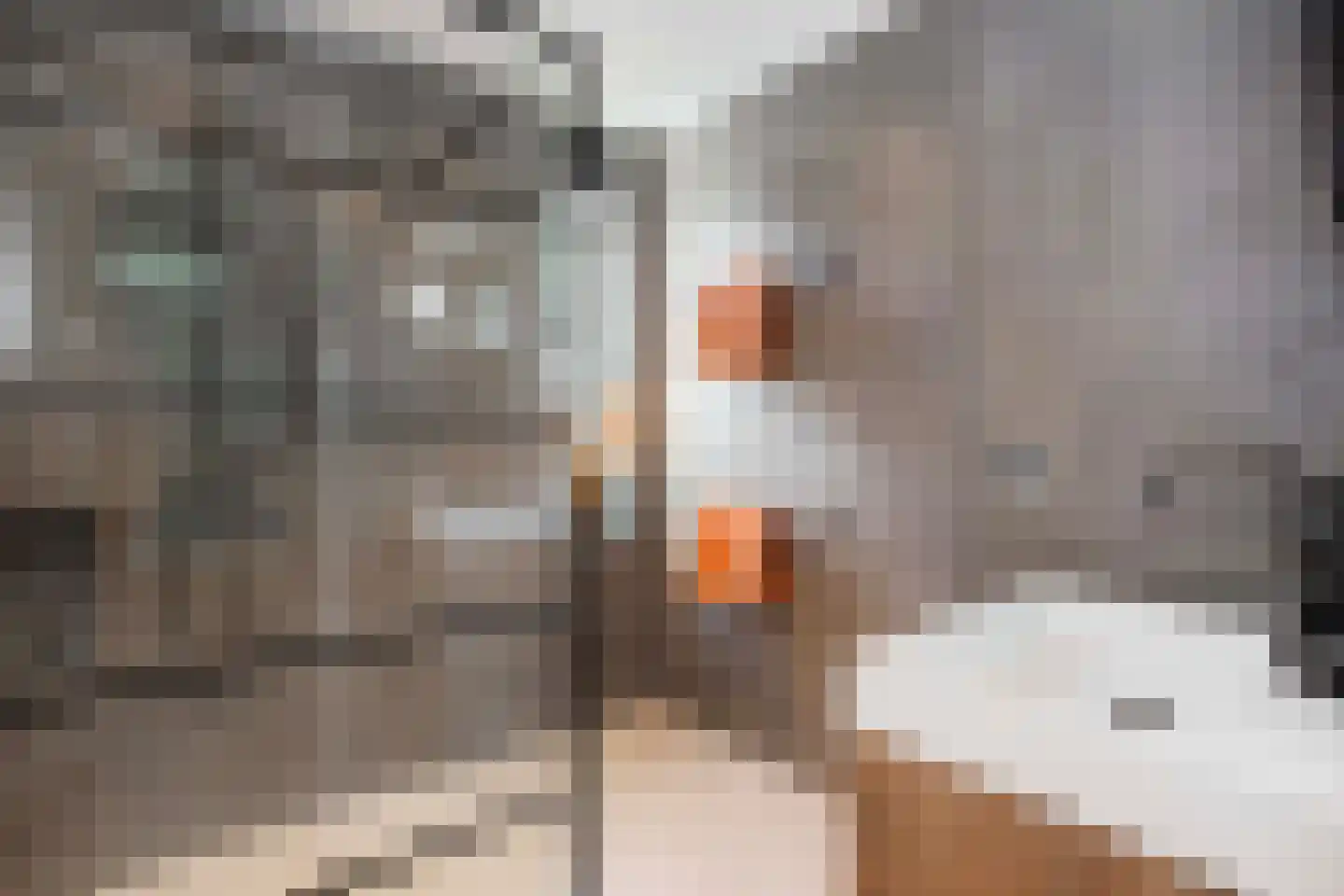 Laakboulevard 288 Amersfoort thumbnail 4